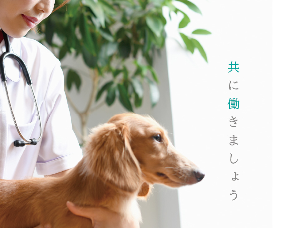 エルペットクリニック